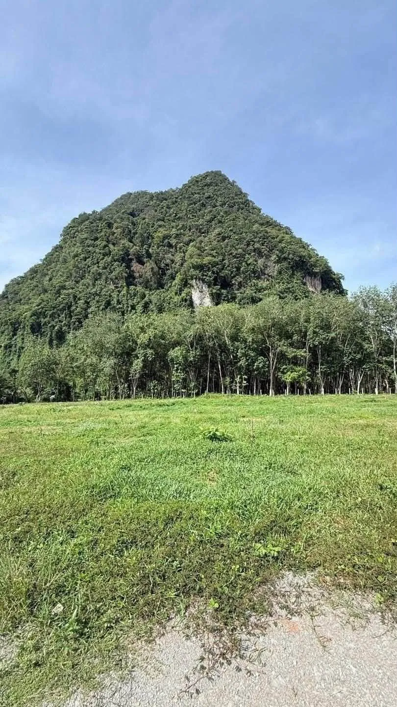房源图 2