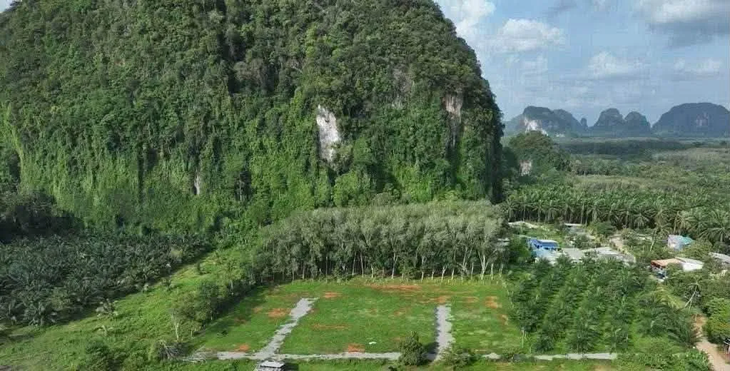 房源图 3