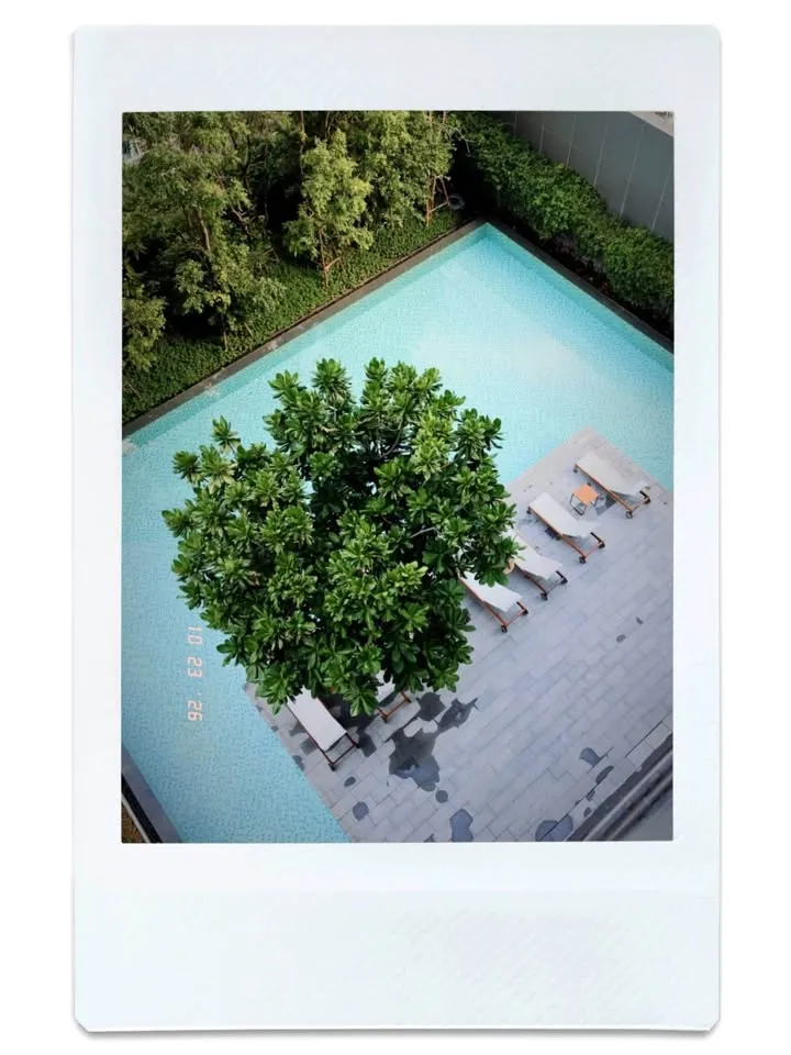 房源图 3
