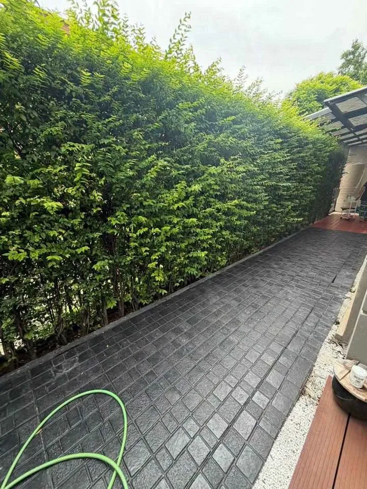 房源图 12