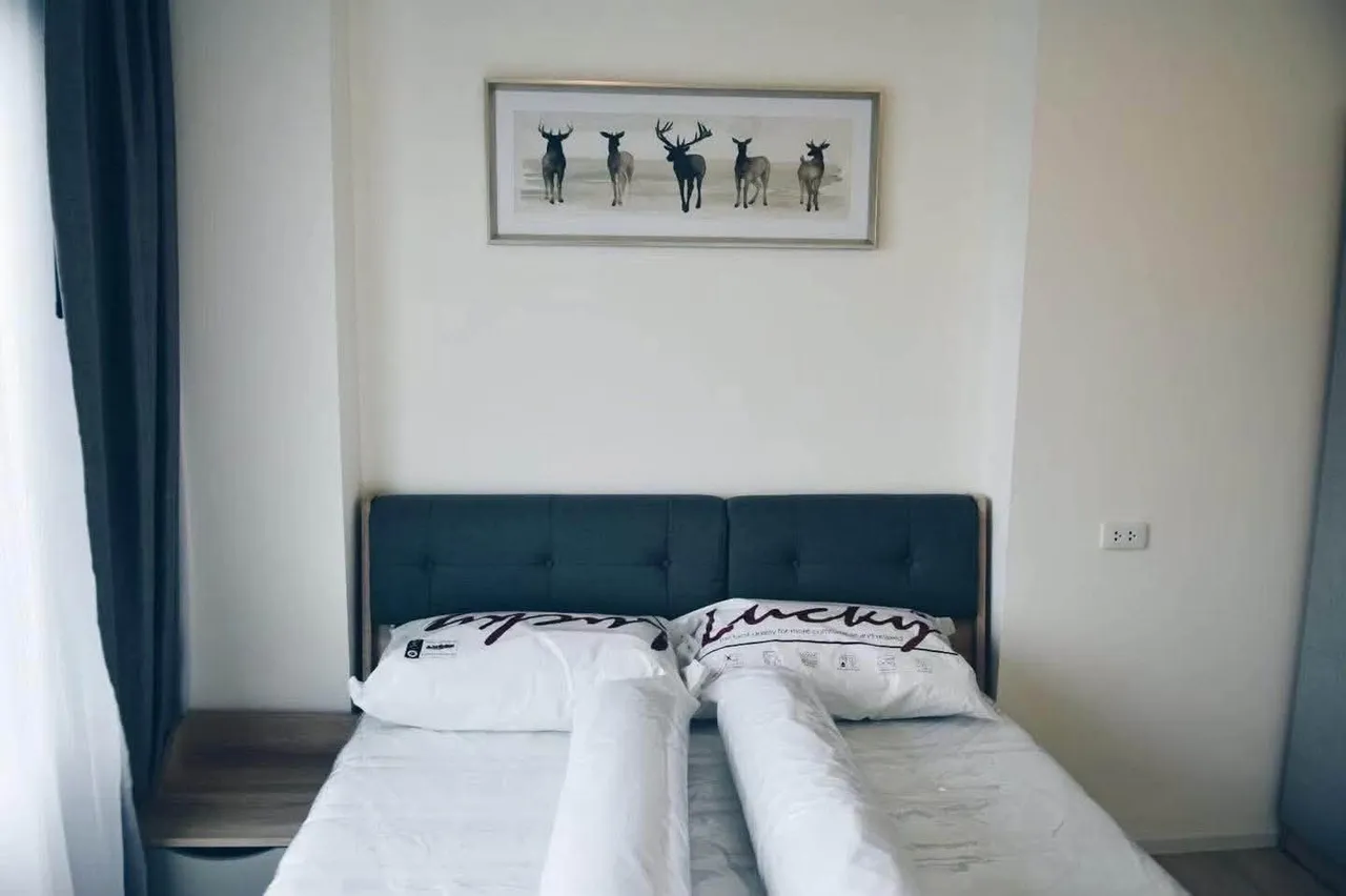 房源图 5